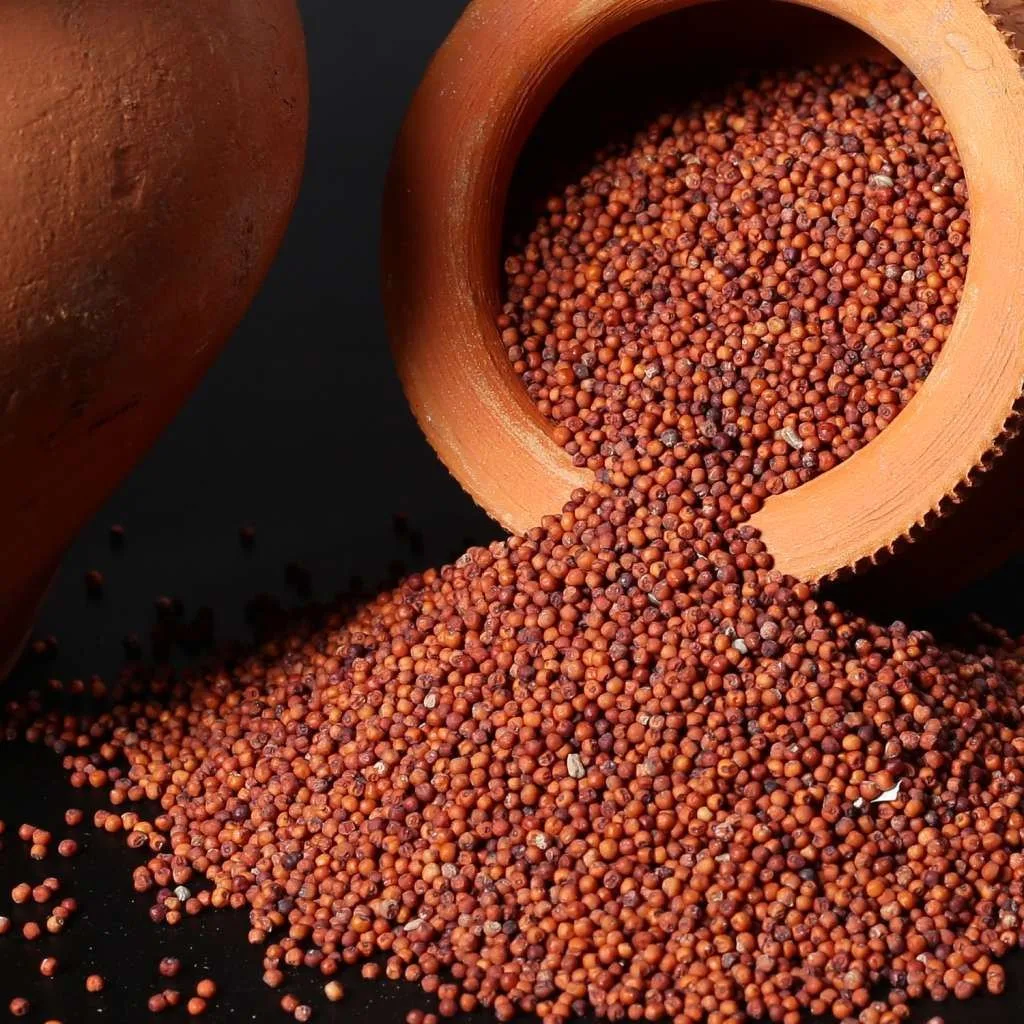 Finger Millet (Raagi)